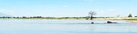 Wild Zambezi