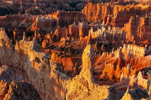 Sunrise at Bryce Canyon National Park, Utah USA