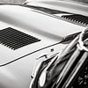 Jaguar E-Type Roadster klassieke Britse sportwagen van Sjoerd van der Wal Fotografie