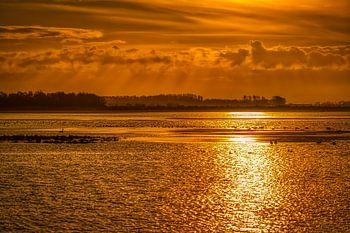 Lauwersmeer