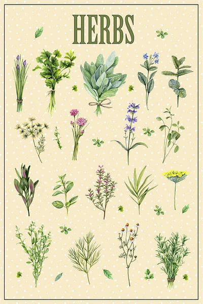 Poster sur les herbes par Geertje Burgers