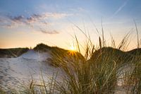 Last sunrays