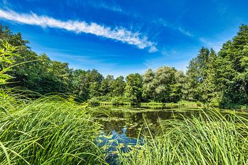 Beautiful lake on bright summer day by pixxelmixx