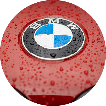 Het logo van een BMW Z4 in de regen van Pieter van Dieren (pidi.photo)