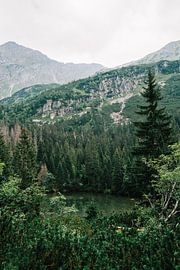 Tatra-Gebirge Slowakei IV von Suzanne Spijkers