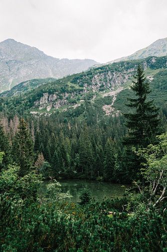 Tatra mountains Slovakia IV