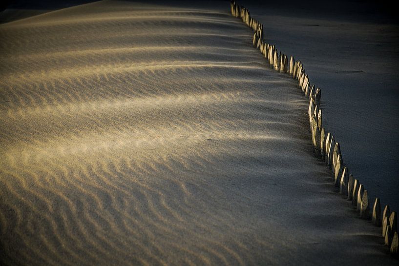 sea, sun and sand by Dirk van Egmond
