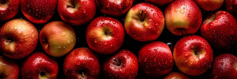 Panorama of Red Apples with water drops from above by Studio XII