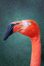 Eleganter rosa Flamingo vor einem dunkelgrünen botanischen Hintergrund von Natalia Gebauer Studio