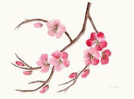 Silent Blossom Branch