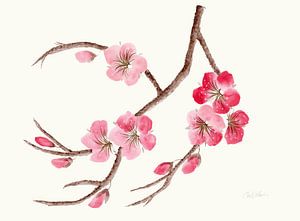 Branche en fleurs silencieuse