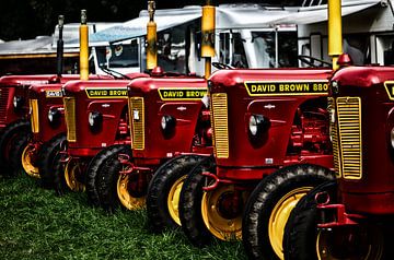 David Brown 880 tractoren op een rij van Jessica Berendsen