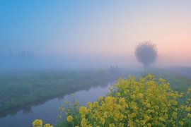 A Rural Landscape in the Early Morning by Bas Meelker