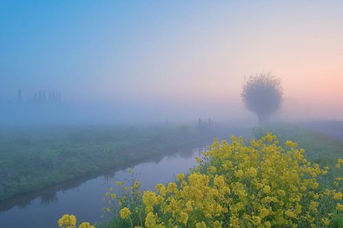 Ländliche Landschaft am frühen Morgen von Bas Meelker