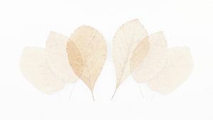 Aquarel achtige bladeren