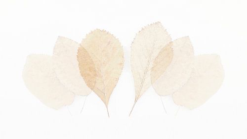 Aquarellartige Blätter 2