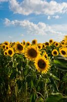 Sommertag