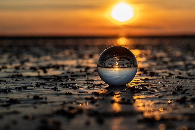 Die ganze Welt in einer Kugel von Thomas Riess