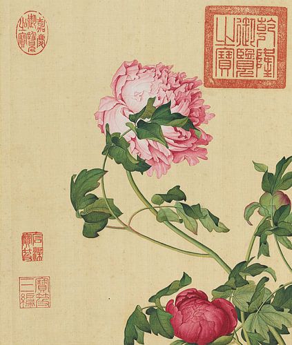 Peonies, Giuseppe Castiglione