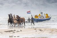 Paardenreddingsboot Ameland