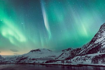 Noorderlicht boven de Lofoten tijdens de winter in Noorwegen van Sjoerd van der Wal