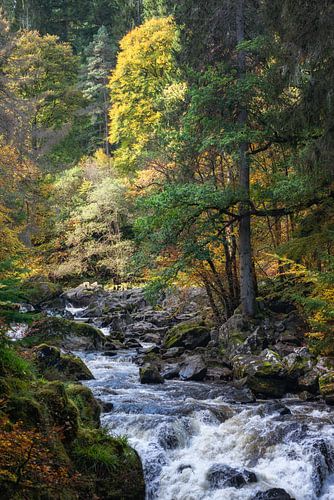 Hermitage, Dunkeld, in autumn by Pascal Raymond Dorland