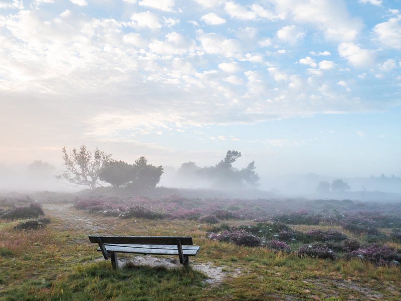 Rest von snippefotografie