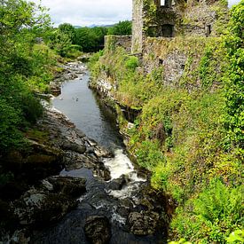 Ruines du château de Carriganass en Irlande sur Thomas Zacharias