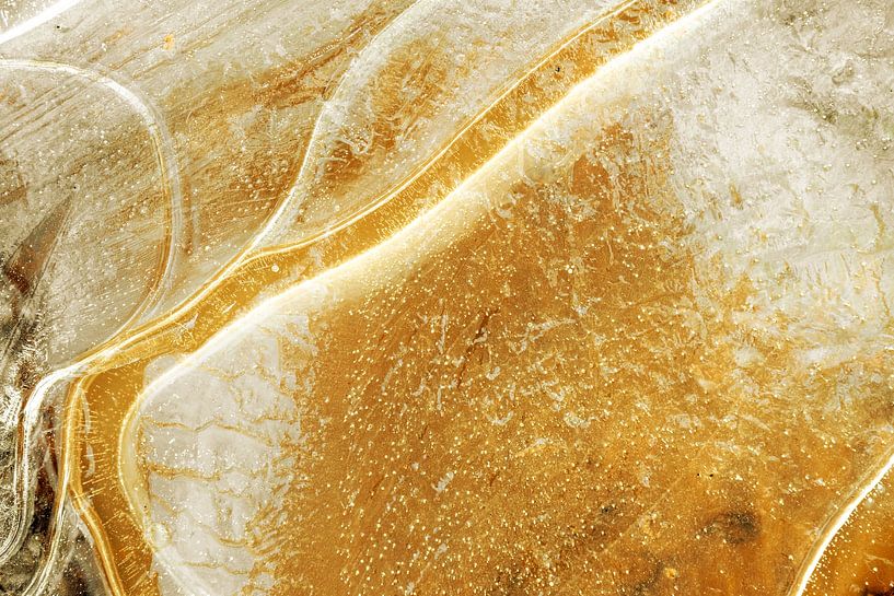 Abstract from Nature #4 gold by Fred Schuch