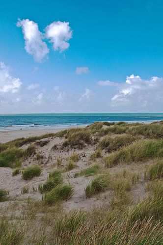 Les dunes estivales au bord de la mer du Nord au Danemark