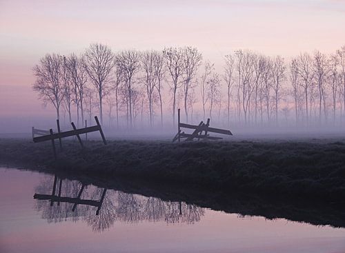 purple haze van Annemieke van der Wiel