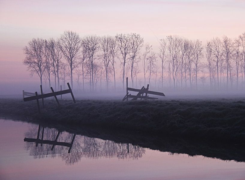 purple haze by Annemieke van der Wiel