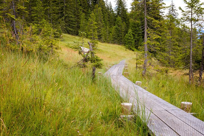 Die Wanderbretter von Johan Vanbockryck