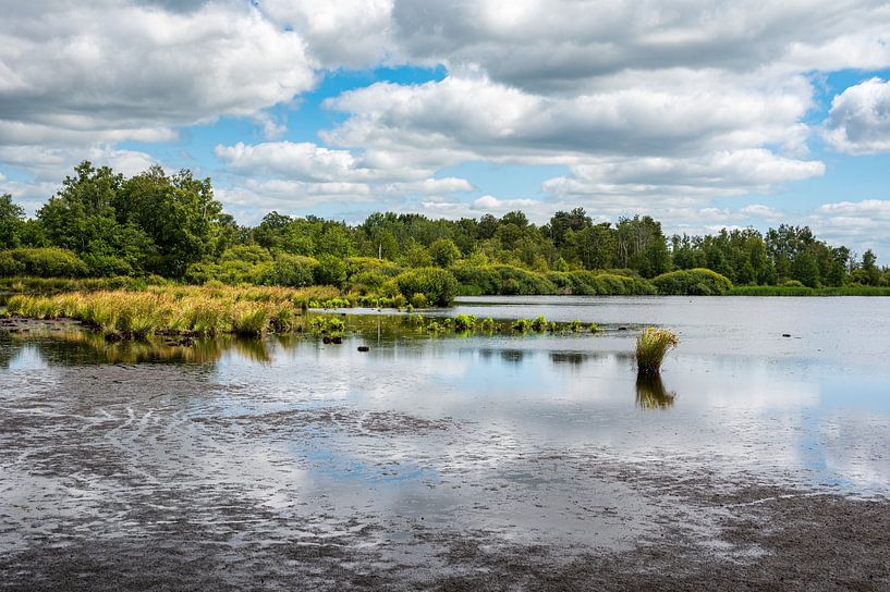 Natur pur aus den Niederlanden von Werner Lerooy