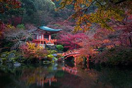 Japanese autumn by Maarten Mensink