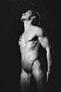 Sehr schöner nackter Mann mit schönem muskulösen Körper. #A9298 von william langeveld Miniaturansicht