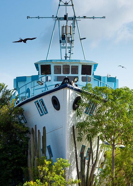Curaçao, Seaquarium, Woerden par Keesnan Dogger Fotografie