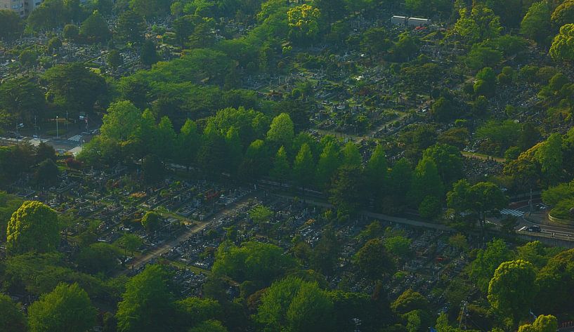 Park Tokyo Cityscape (Japan) by Marcel Kerdijk