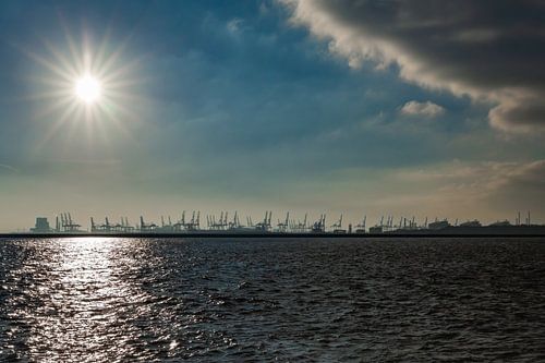 View of the Maasvlakte, Hoek van Holland