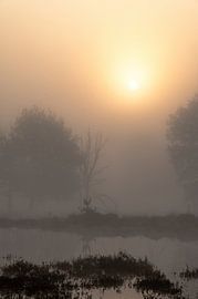 Leersum field part 44 by Tania Perneel