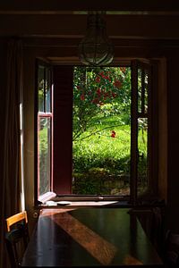 Porte-fenêtre donnant sur le jardin et le soleil
