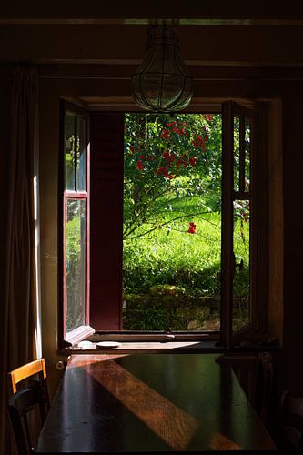Zomers licht in La Douce France