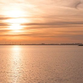 Aan de kant van het meer van Mark Leek