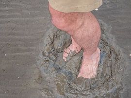Feet in the mudflats on the North Sea by Animaflora PicsStock