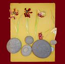 Vier tulpen op geel vlak met ronde Wales-stenen van Susan Hol thumbnail