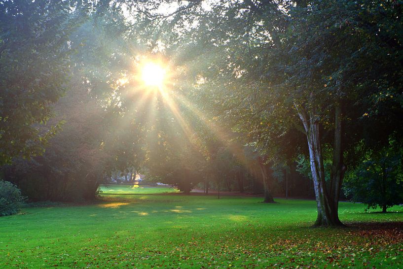 Park 2 van Edgar Schermaul