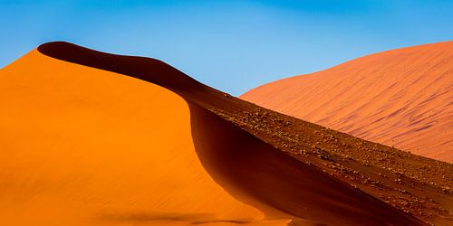 Landschap met rode zandduinen in de Namib woestijn