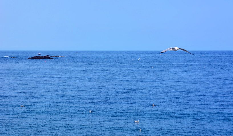 Just the Sea by Gisela Scheffbuch