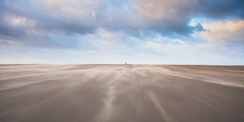 Uitwaaien van Arjan van Duijvenboden
