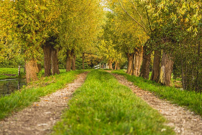 schöner Wanderweg durch den Polder in der Region Krimpenerwaard von Lima Fotografie